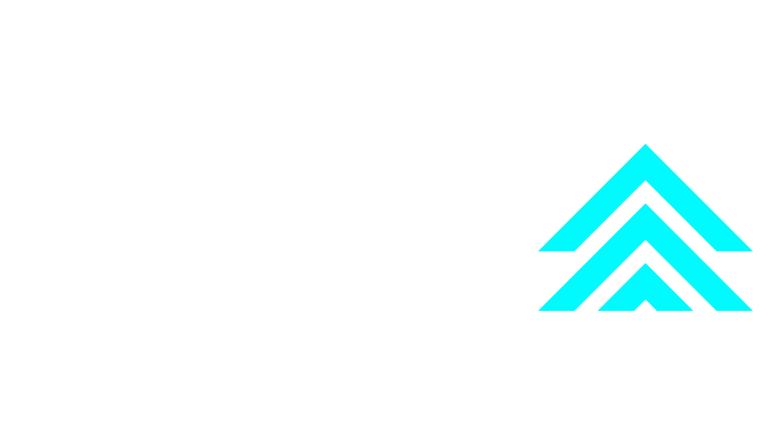 Business Woman by Monika Tapia